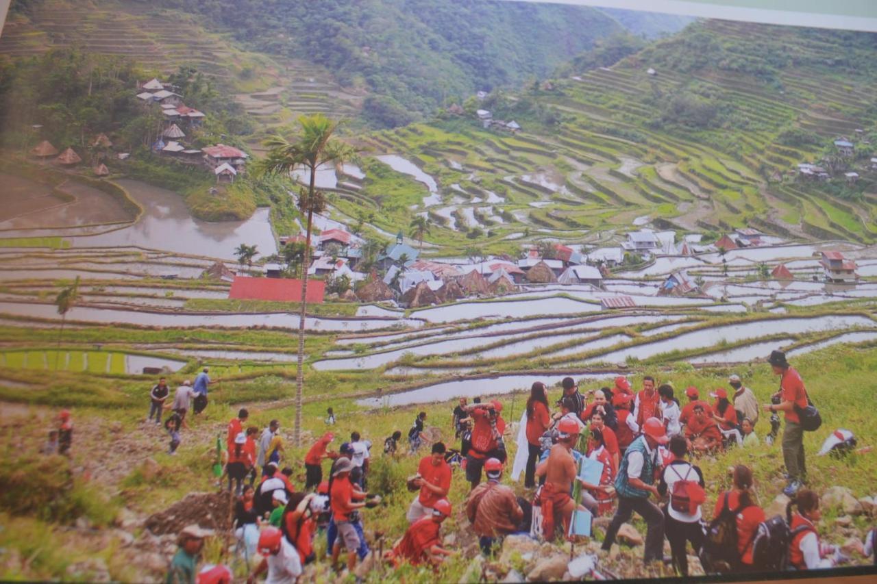 Banaue Evergreen Hostel And Restaurant Exteriér fotografie